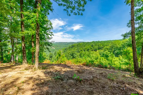 0 Birds Eye Way #Lot 1060, Guild, TN 37340
