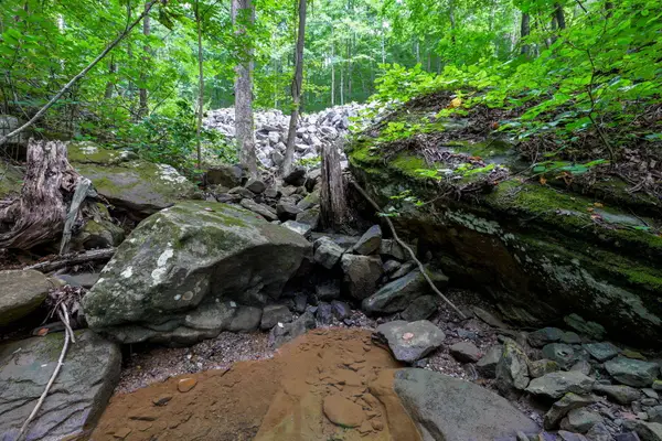 00 Lee Station Mountain Road 90, Pikeville, TN 37367