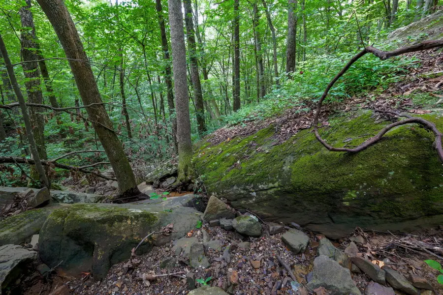 00 Lee Station Mountain Road 90, Pikeville, TN 37367 - #2