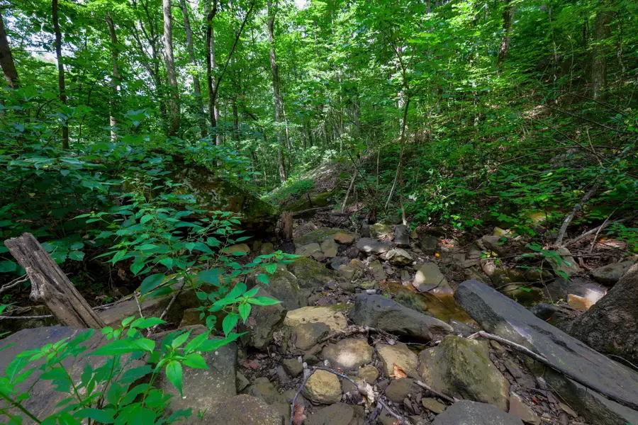 00 Lee Station Mountain Road 90, Pikeville, TN 37367 - #3