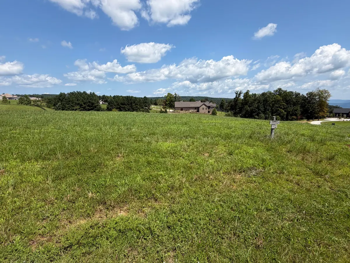 0 Dragging Canoe Drive #Lot 13, Jasper, TN 37347 - #1