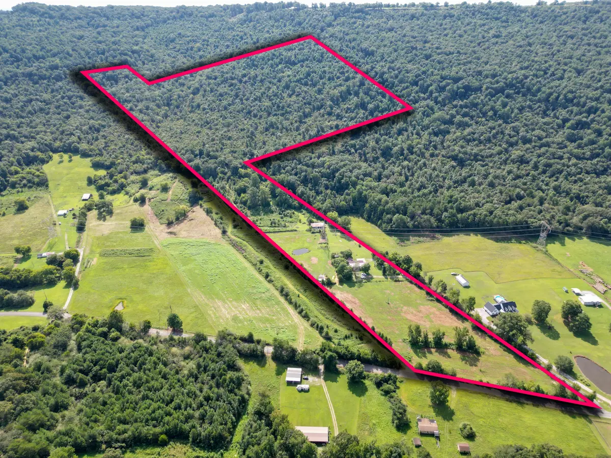 13330 County Road 91, Bryant, AL 35958 - #1