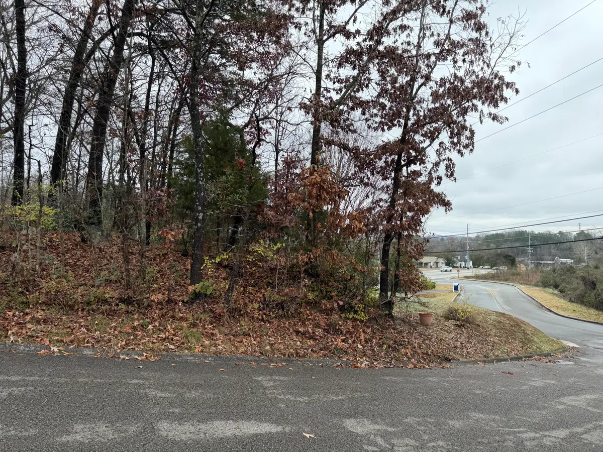 3991 Knollwood Terrace, Chattanooga, TN 37415 - #1