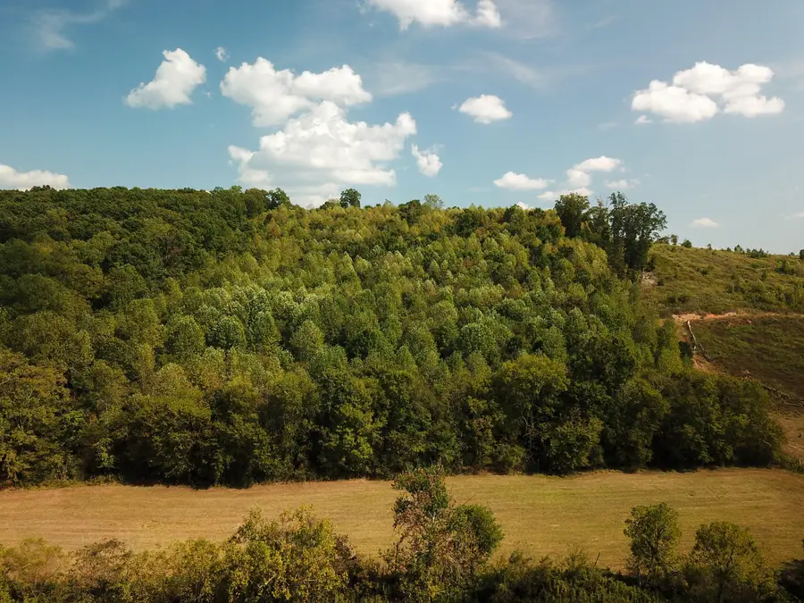 00 Lead Mine Valley Road Sw, Cleveland, TN 37311 - #3