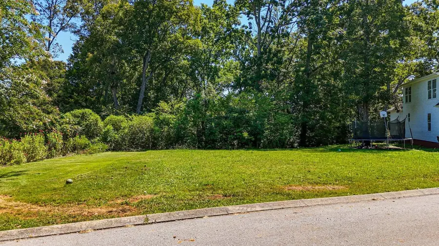 Lot 95 Avenue Of Oaks, Rock Spring, GA 30739 - #3