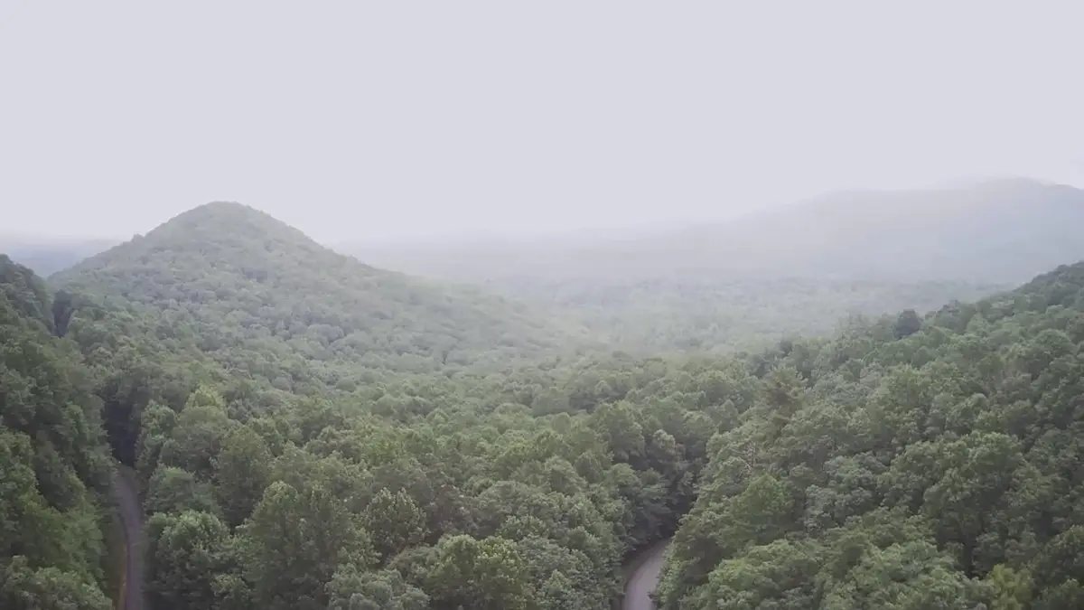 0 Prospectors Pass, Ellijay, GA 30536 - #1