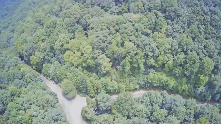 0 Prospectors Pass, Ellijay, GA 30536 - #2