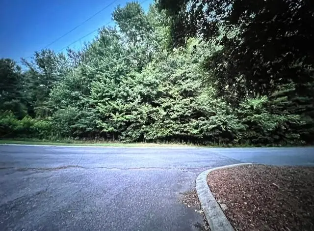 Lot 91 Battleline Drive, Rocky Face, GA 30740 - #3