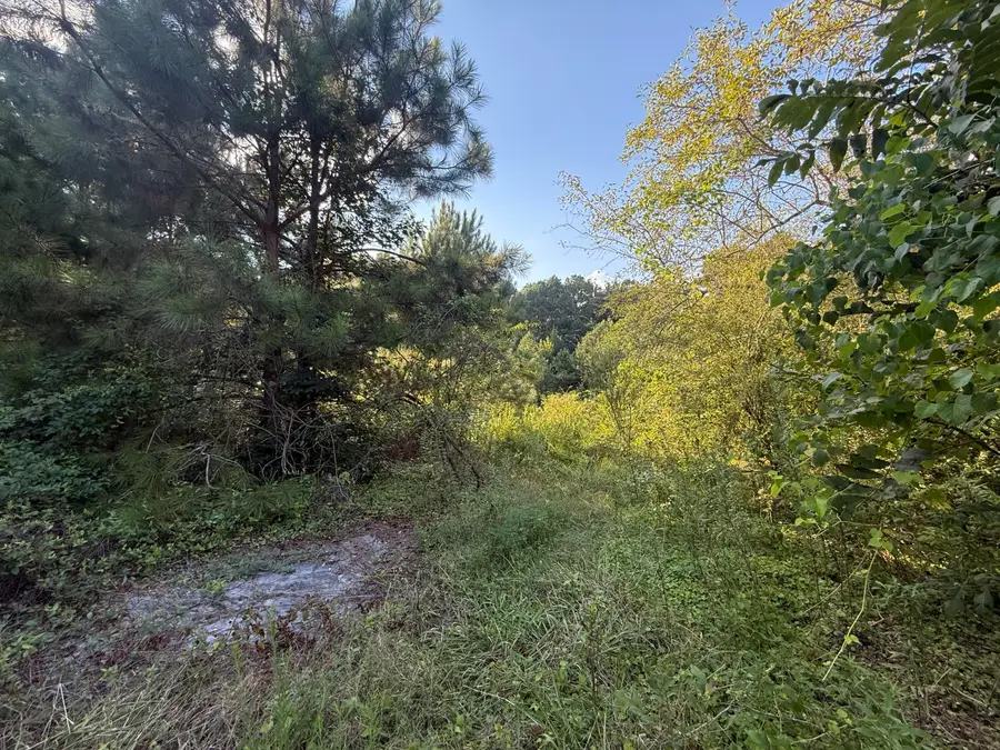 14446 Hwy 151, Trion, GA 30753 - #3