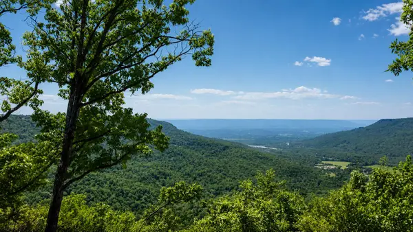 277 Sunset Circle #Lot 71, Jasper, TN 37347