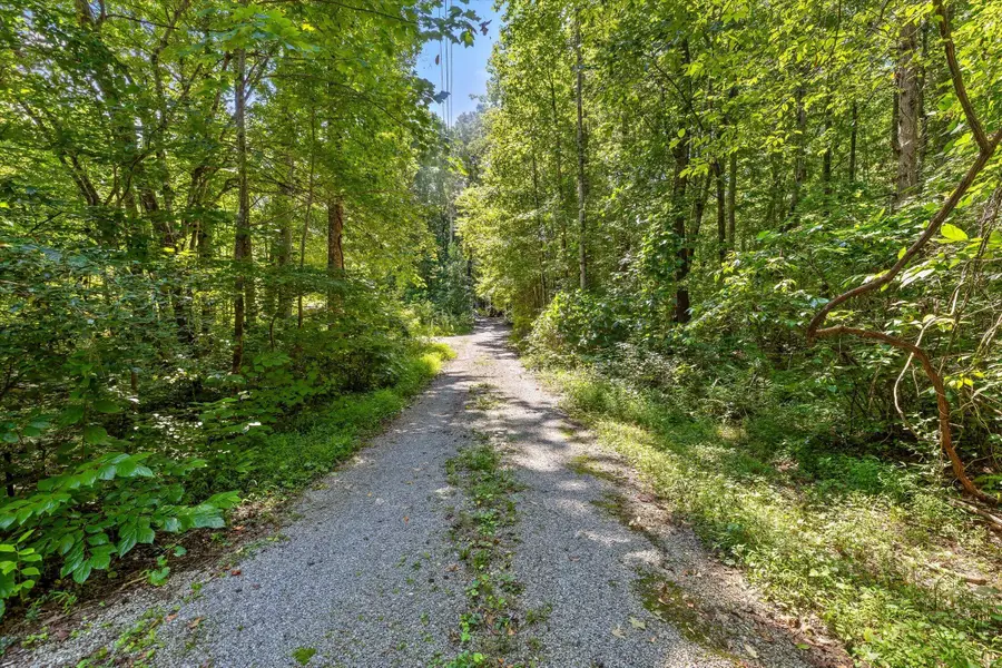 2223 Laurel Street, Signal Mountain, TN 37377 - #3