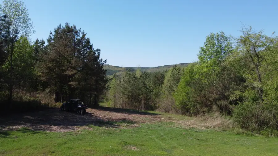 108 Leggett Road, Sale Creek, TN 37373 - #3