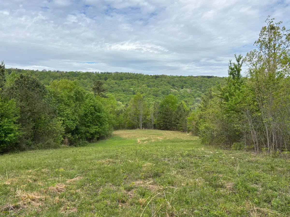 367 Leggett Road, Sale Creek, TN 37373 - #1