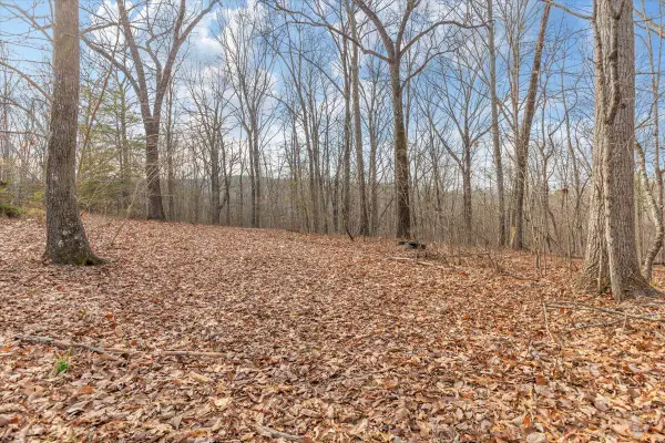 13 Ac Percheron Drive, Dalton, GA 30720