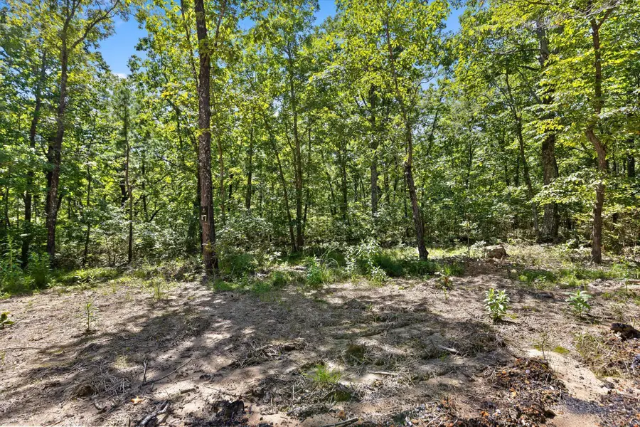 1537 Vulcan Road #17, Rising Fawn, GA 30738 - #3