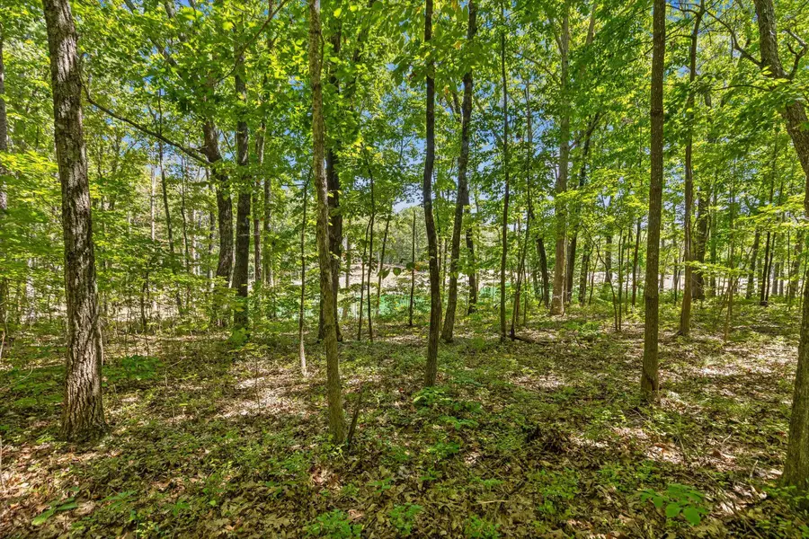 1537 Vulcan Road #41, Rising Fawn, GA 30738 - #3