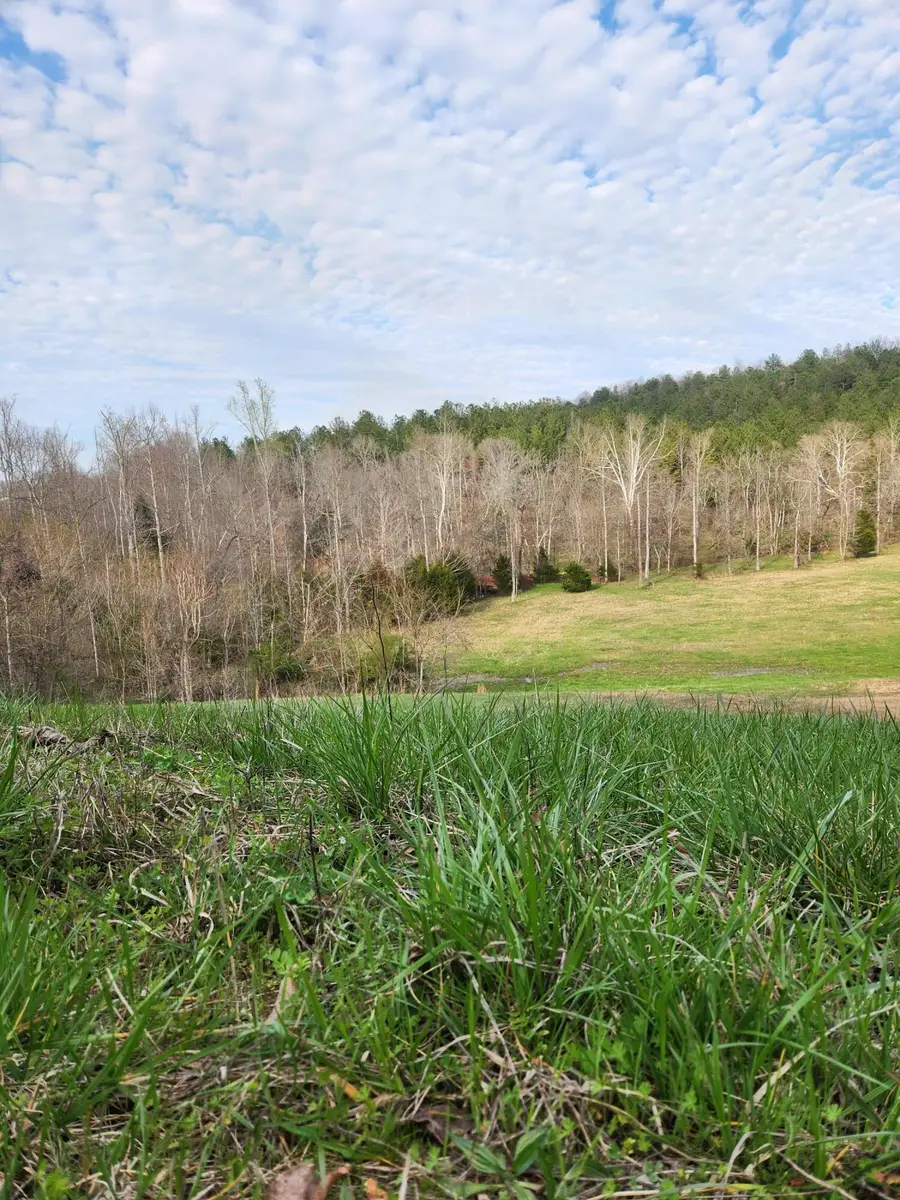 0 Mill Drive #7, Decatur, TN 37322 - #3