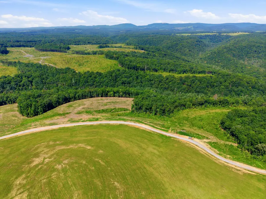 0 Triple Ridge, Lot #10 Trail, Grandview, TN 37337 - #3
