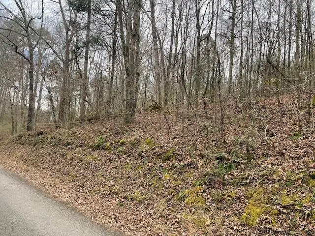 00 Wooten Lane, Chickamauga, GA 30707 - #3