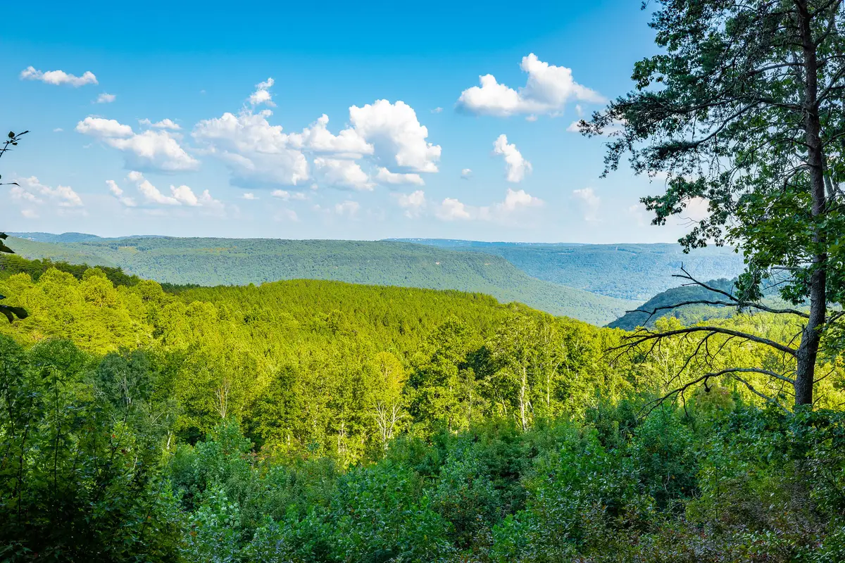 0 High Ground Road #Lot 2218, Guild, TN 37340 - #1