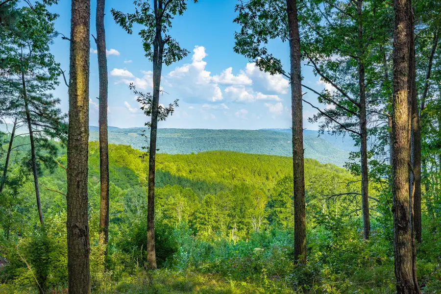 0 High Ground Road #Lot 2218, Guild, TN 37340 - #2