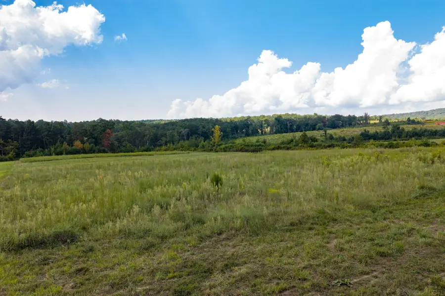 1343 Hidden Hills Drive, Graysville, TN 37338 - #3
