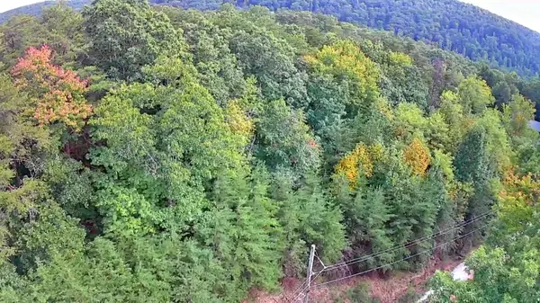 0 Peaceful Lane #10, Spencer, TN 38585