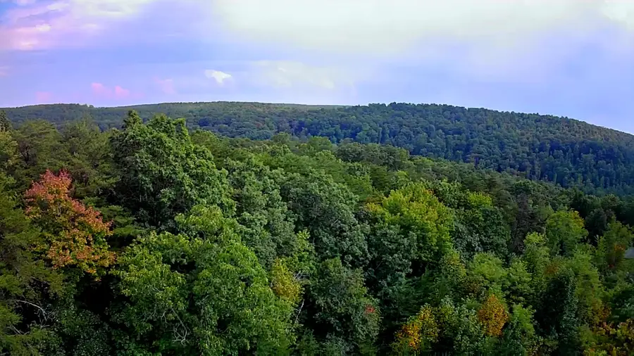 00 Peaceful Lane #9a-1, Spencer, TN 38585 - #3