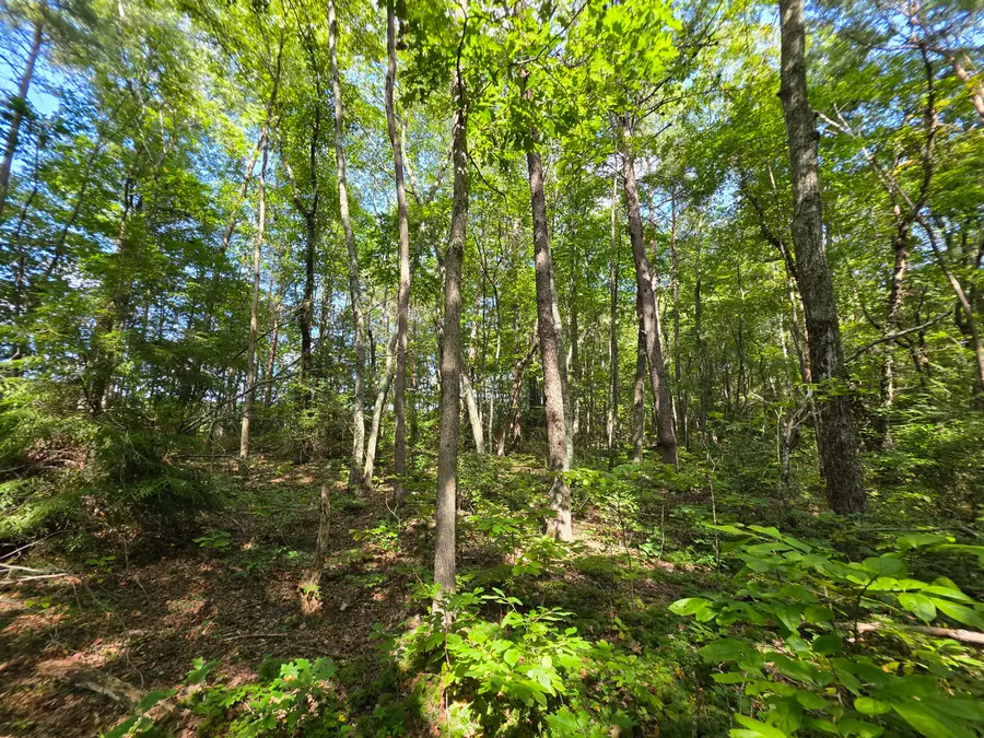 8 Northcutts Cove Road, Beersheba Springs, TN 37305 - #2