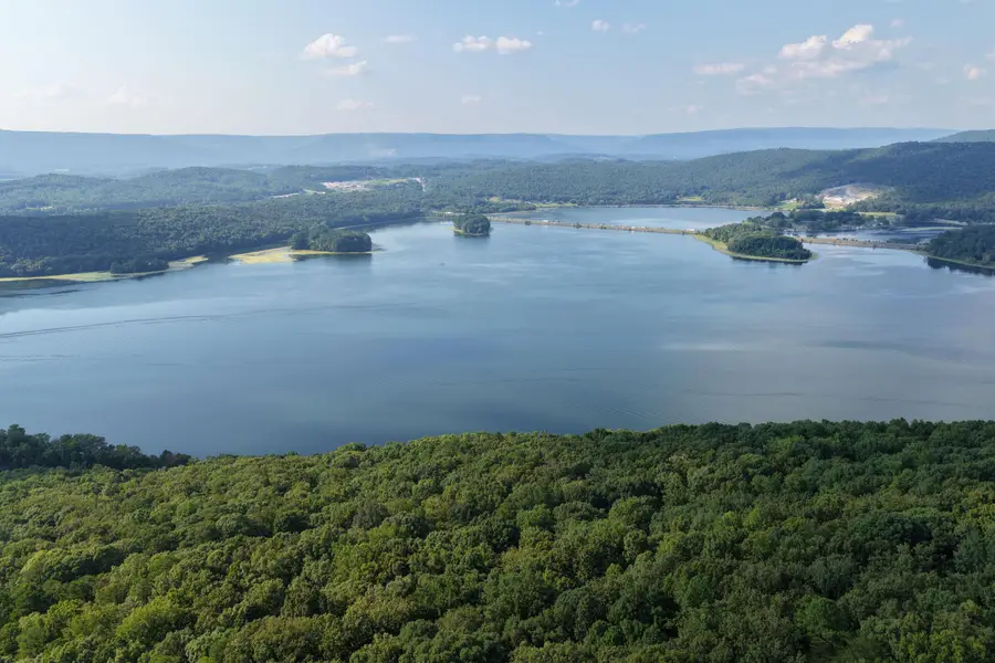 1 Bluff Road, South Pittsburg, TN 37380 - #3