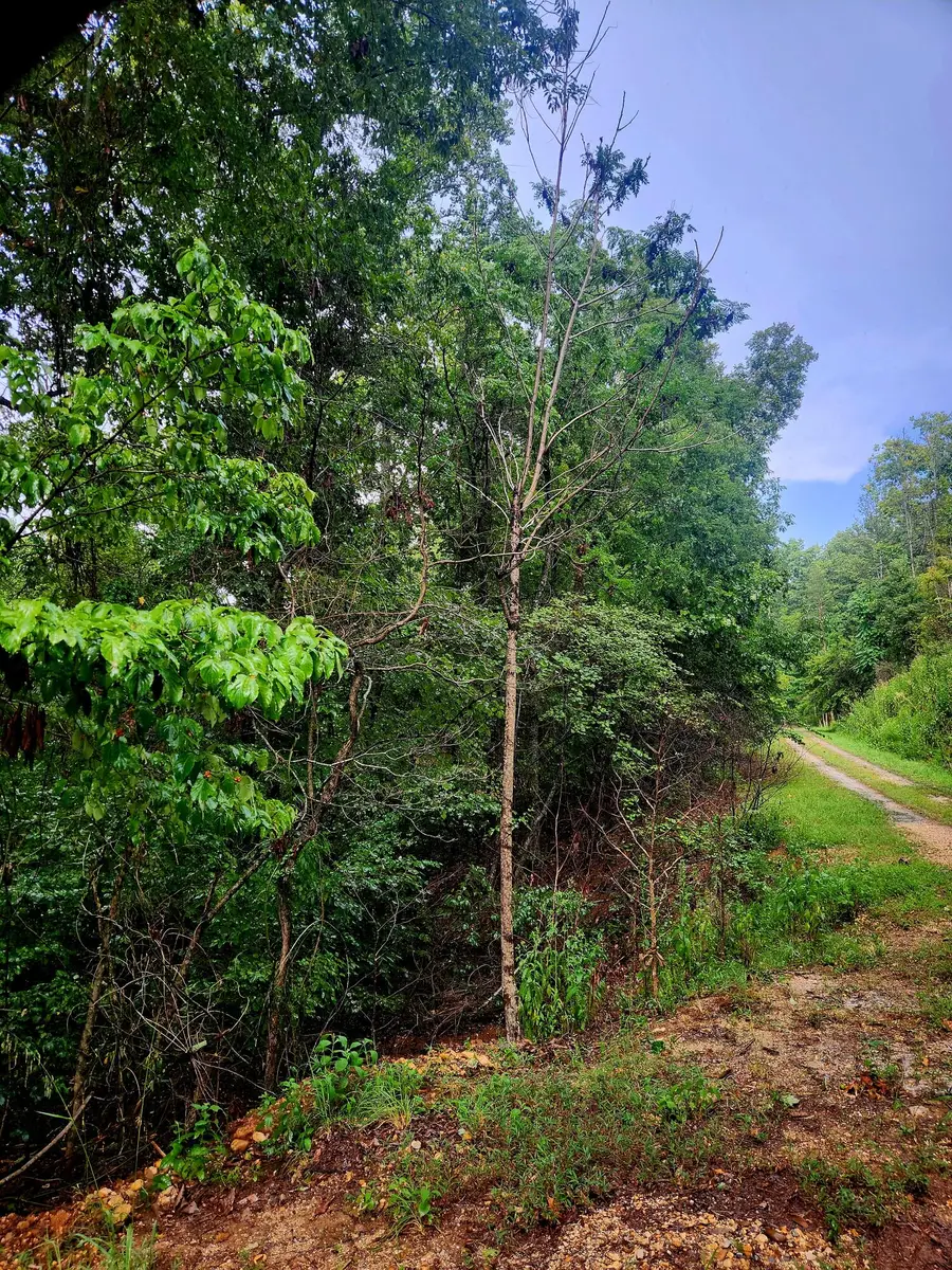 0 Cedar Lane #42, Spring City, TN 37381 - #2