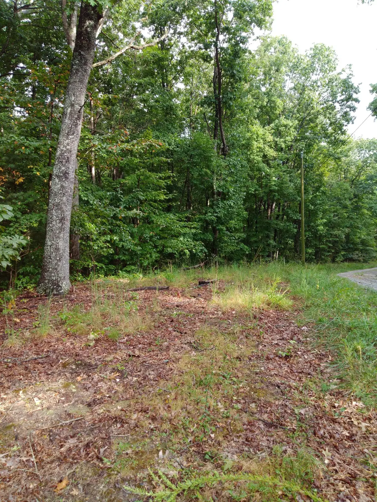 0 Woodland Drive #53-56, Spring City, TN 37381 - #1