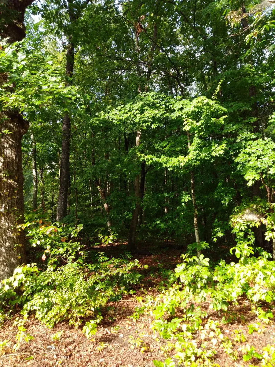 0 Woodland Drive #53-56, Spring City, TN 37381 - #2