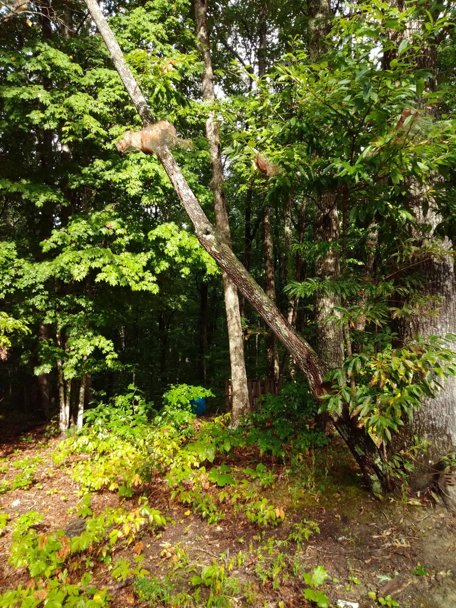 0 Woodland Drive #53-56, Spring City, TN 37381 - #3