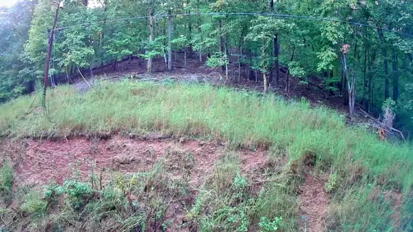 0 Lakeview Drive #187, Spring City, TN 37381