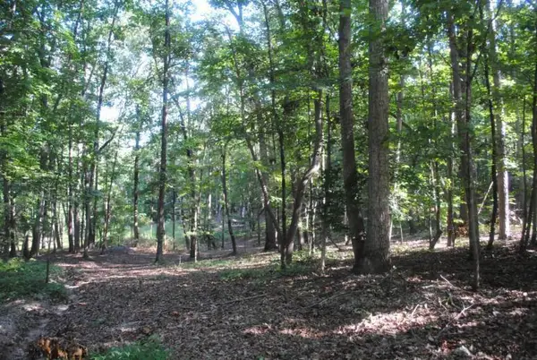 249 N Ridge Drive, LaFayette, GA 30728