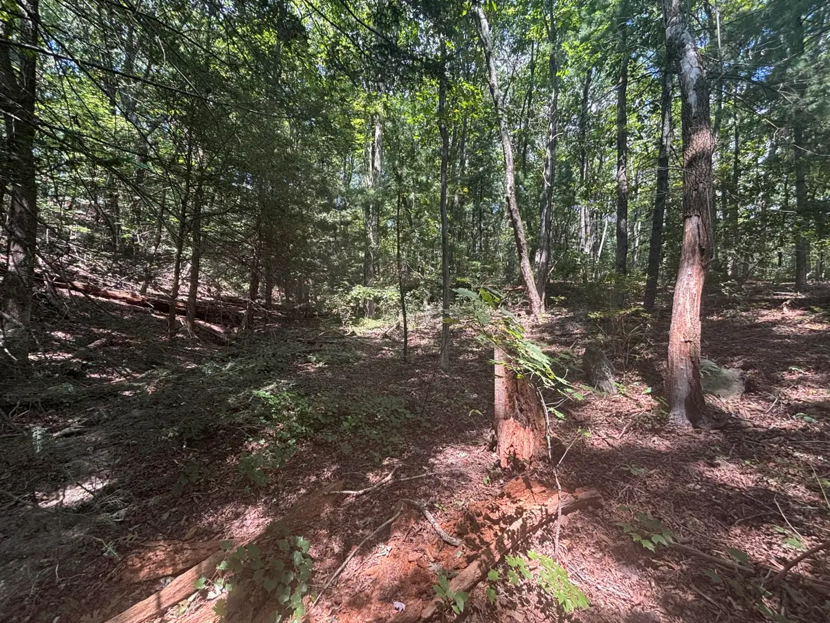 00 Fort Trace Drive, Lookout Mountain, GA 30750 - #1