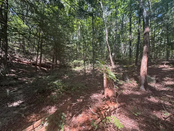 00 Fort Trace Drive, Lookout Mountain, GA 30750