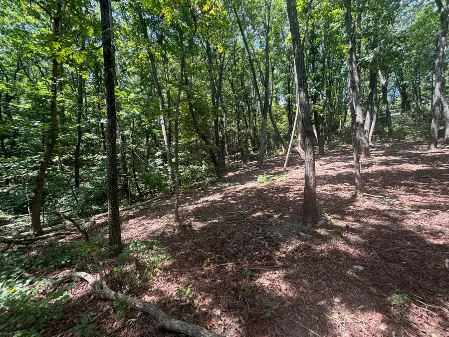 00 Fort Trace Drive, Lookout Mountain, GA 30750 - #2