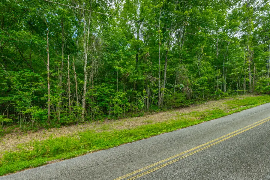 1005 Tanya Drive, Whitwell, TN 37397 - #2