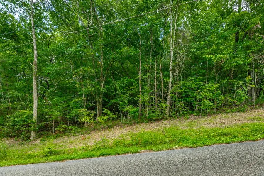 1005 Tanya Drive, Whitwell, TN 37397 - #3