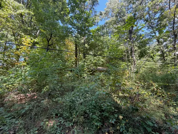 0 Michigan Avenue Road Ne, Cleveland, TN 37323