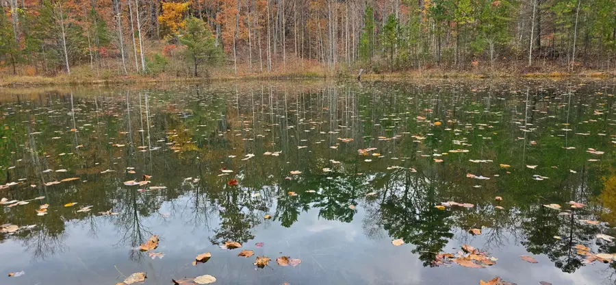 00 Bob Cat Trail, Dunlap, TN 37327 - #2