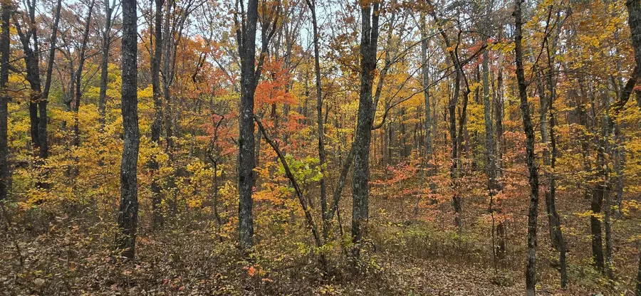 00 Bob Cat Trail, Dunlap, TN 37327 - #3