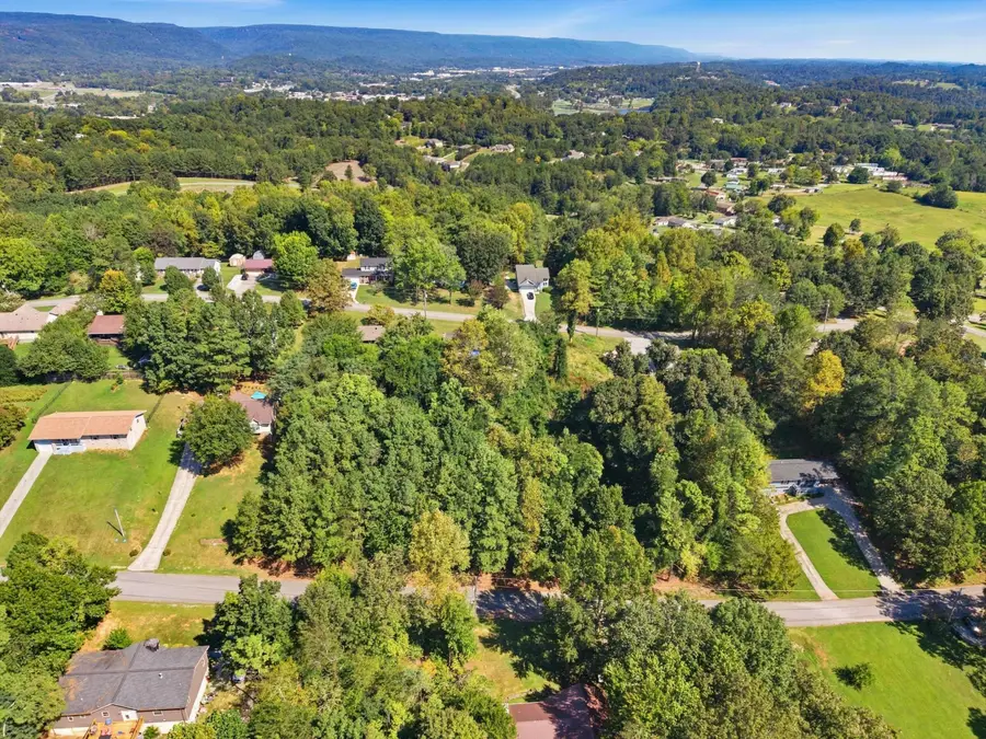 Lot 43 Troy Drive, Dayton, TN 37321 - #3