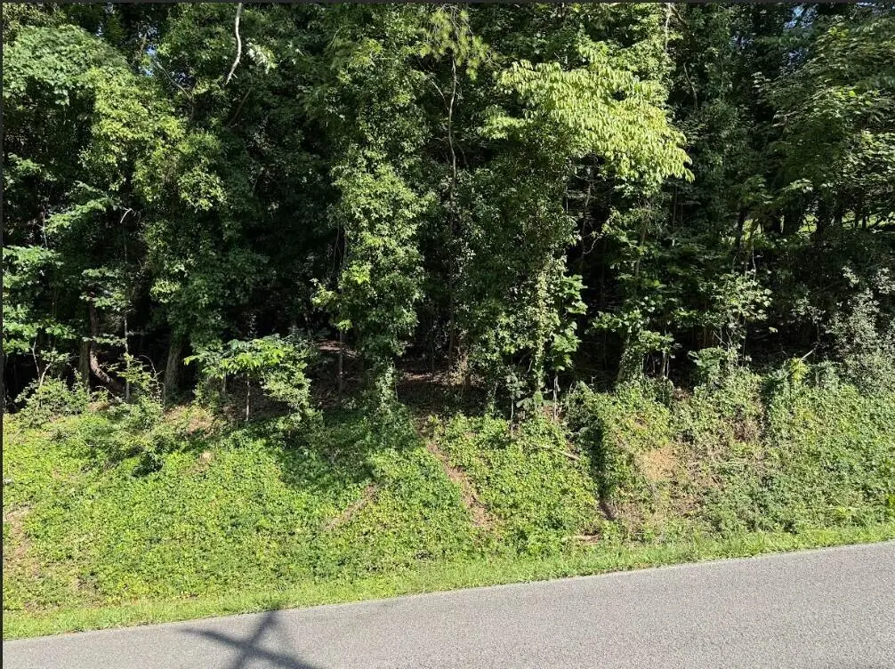 Lot 89 Edgewater Avenue, Dayton, TN 37321 - #1