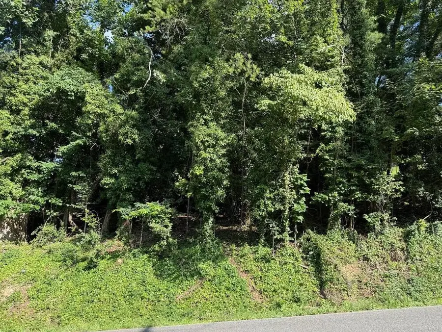 Lot 89 Edgewater Avenue, Dayton, TN 37321 - #2