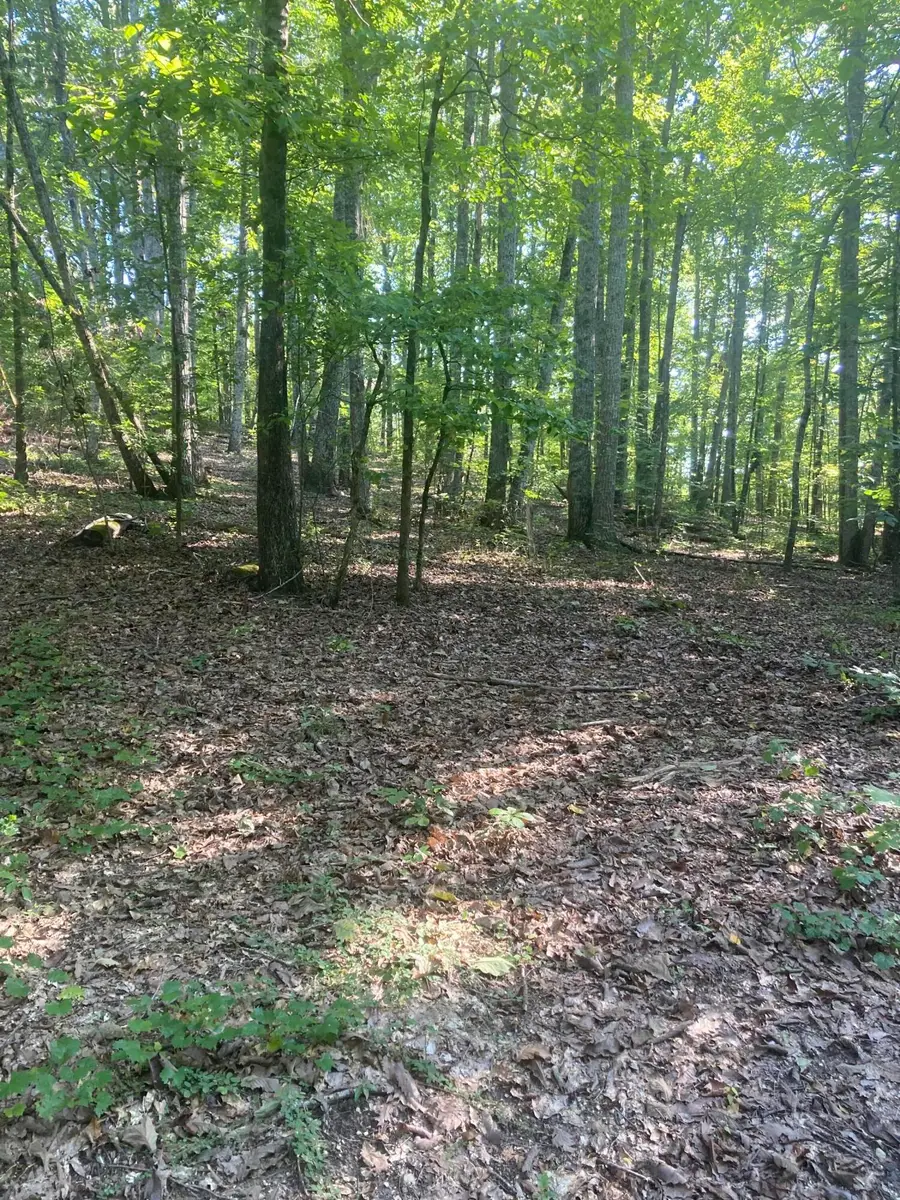 8922 E Brainerd Road, Chattanooga, TN 37421 - #2
