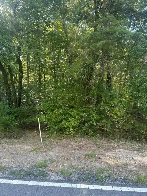 157 Highway 157, Rising Fawn, GA 30738 - #2