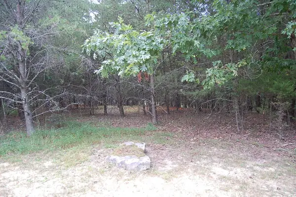 36 Bluff View Drive, Dunlap, TN 37327